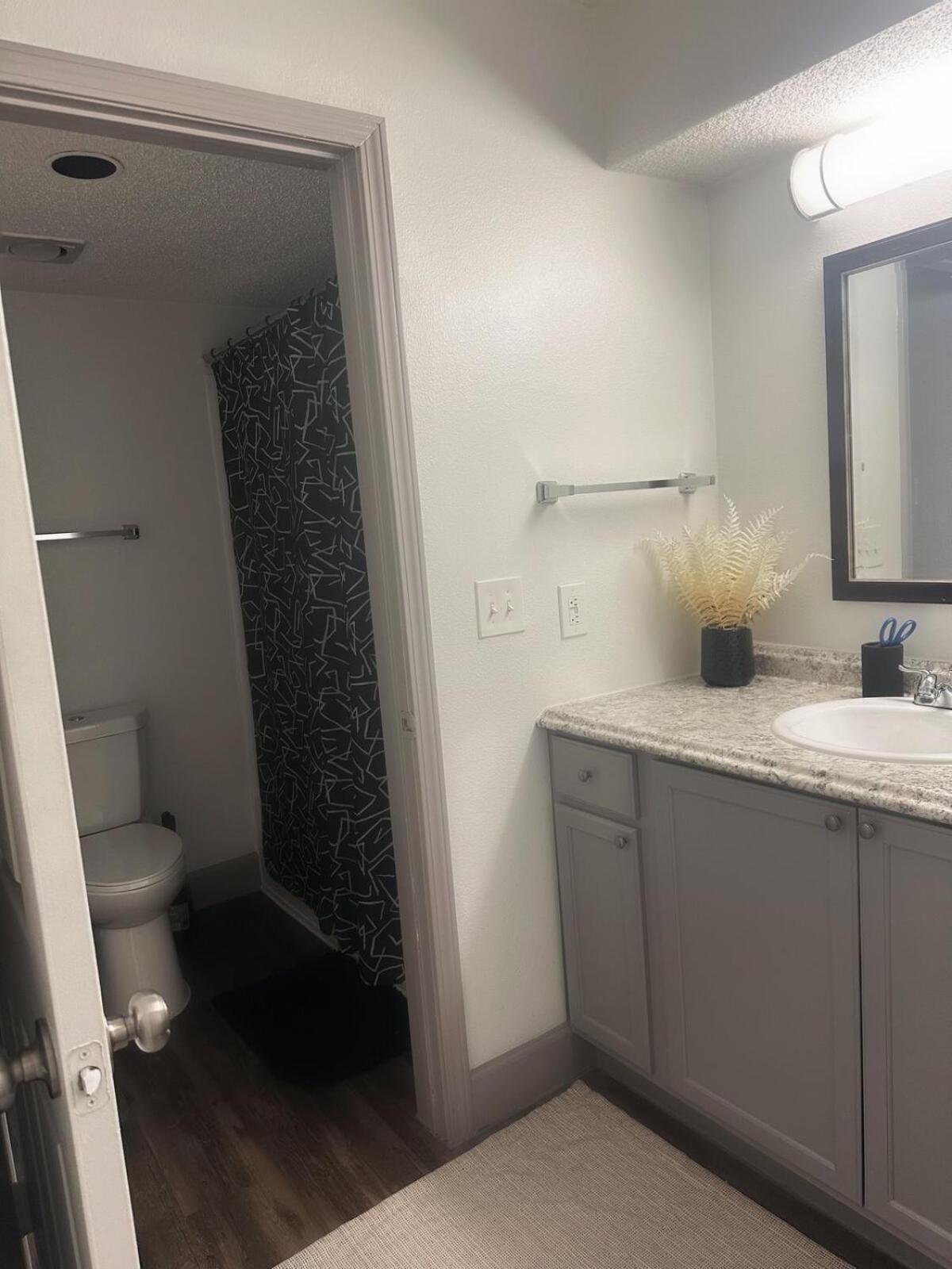 Apartment Medical Center Suite-nrg Houston