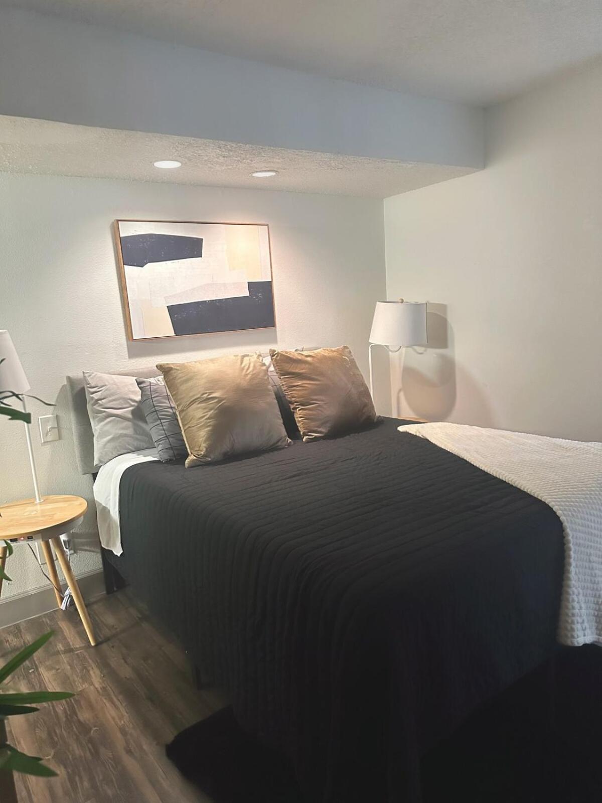 Medical Center Suite-nrg Apartment Houston