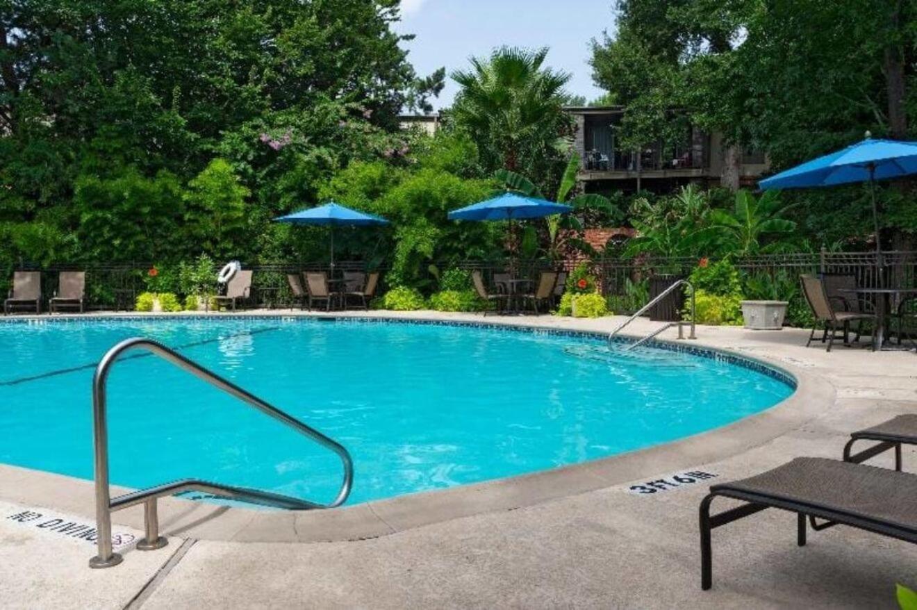 Cozy 1br - Galleria Area Free Parking Houston