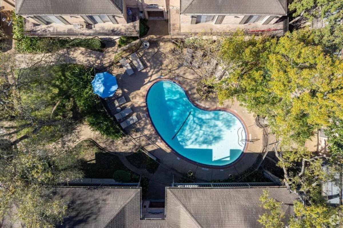 Cozy 1br - Galleria Area Free Parking Apartment Houston