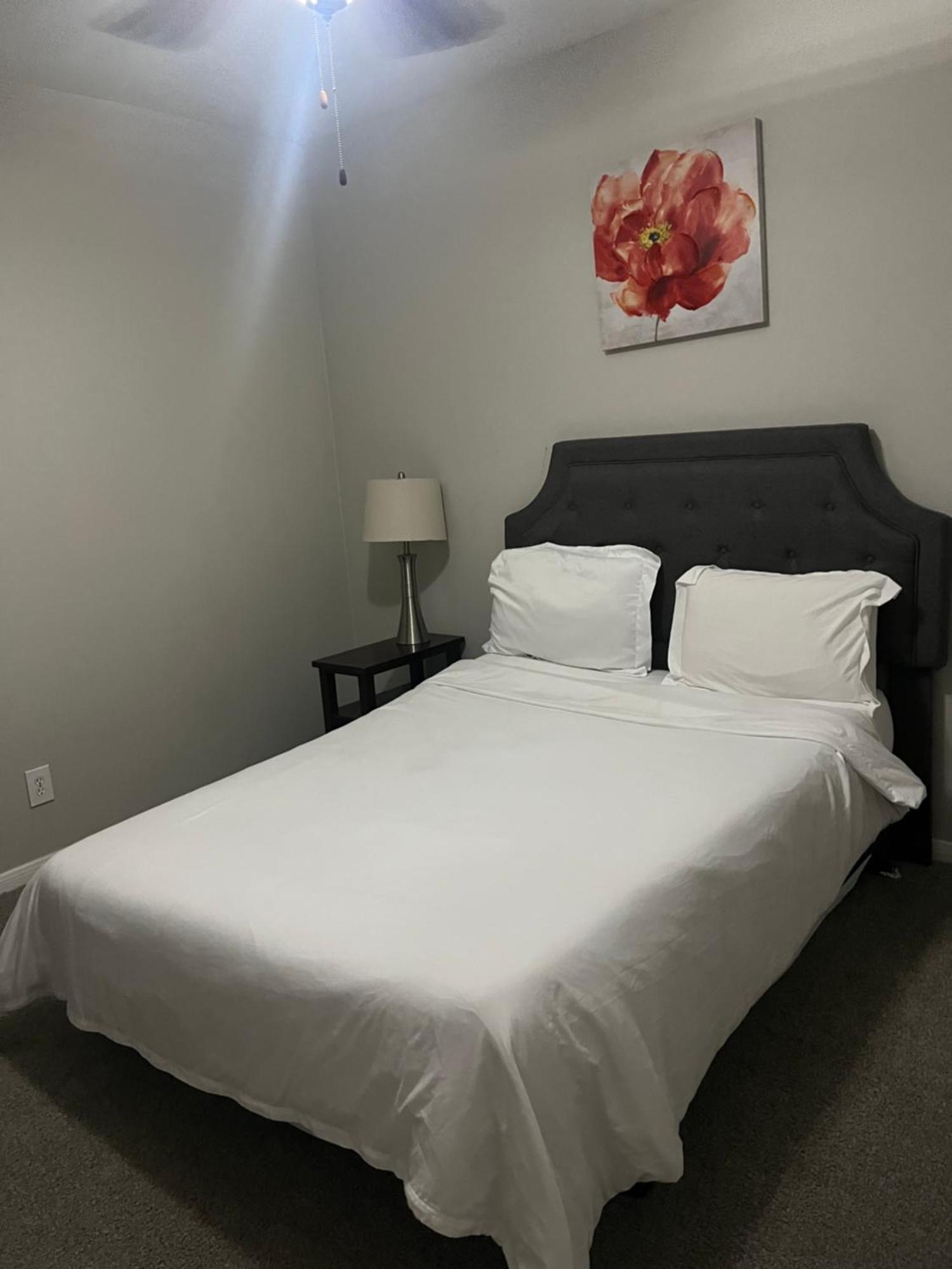 Apartment Style Apt/home In Medical Centre