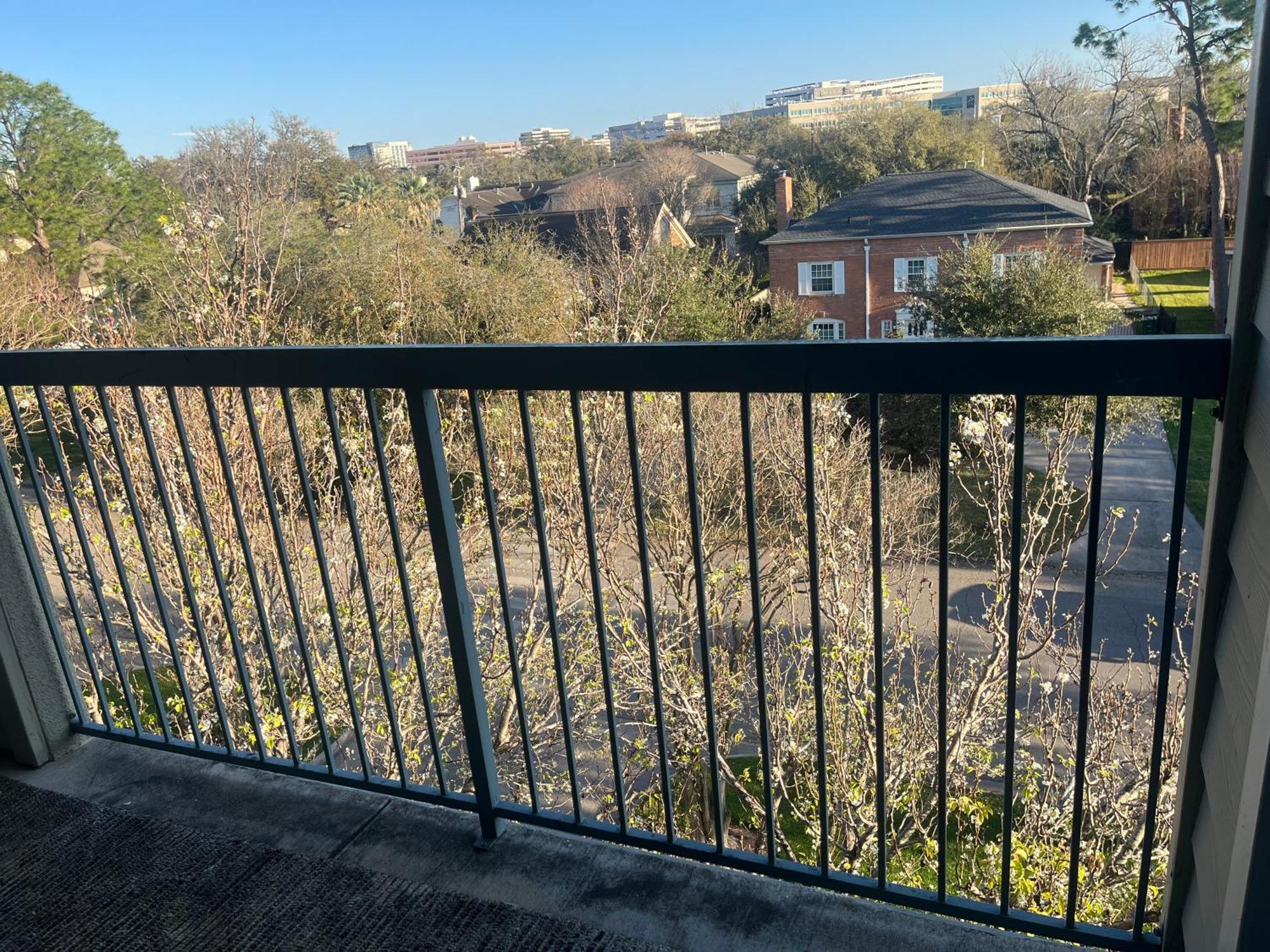 Style Apt/home In Medical Centre Apartment Houston
