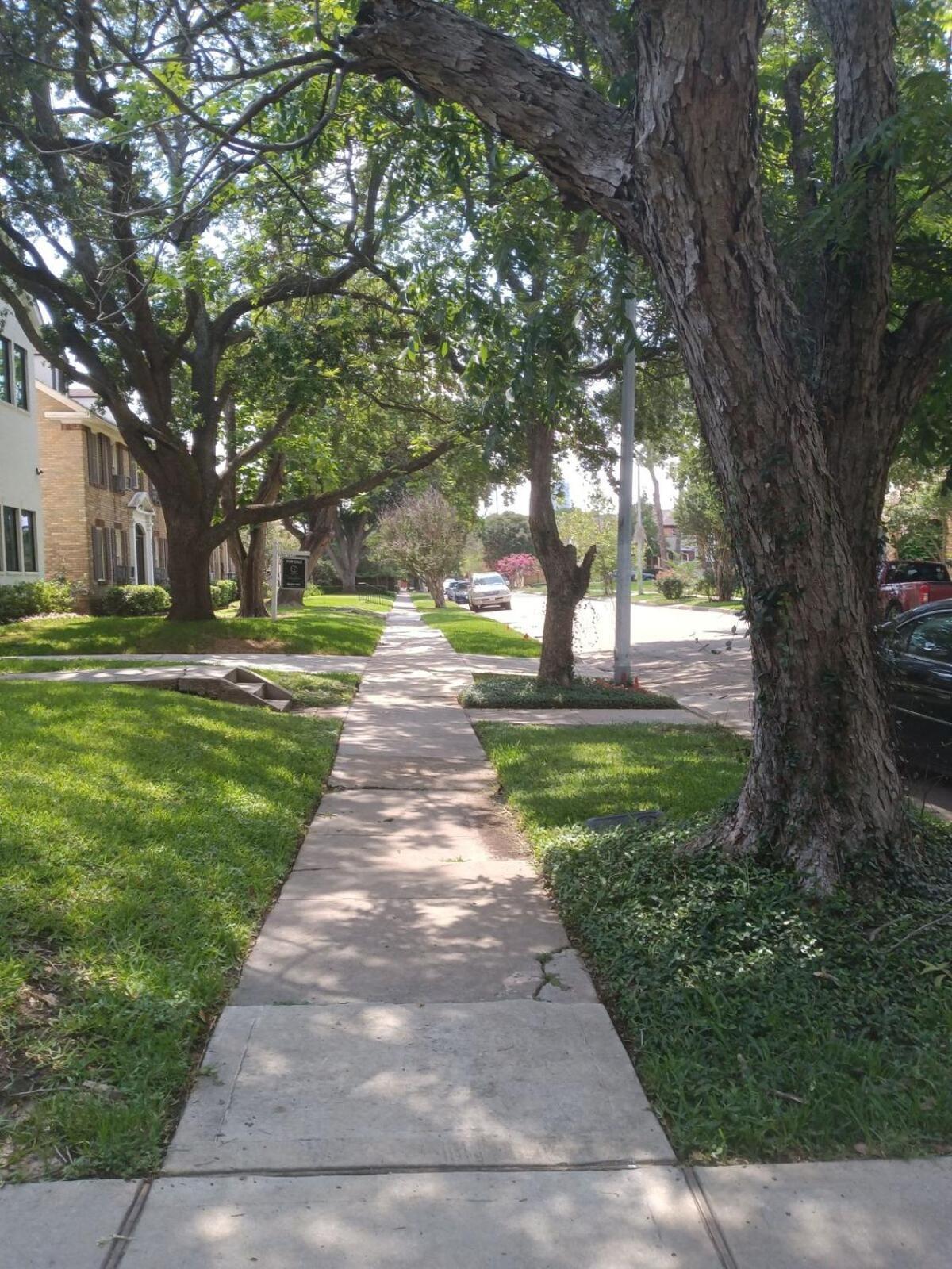 Apartment 3bd 2bath Spacious Downstairs Duplex