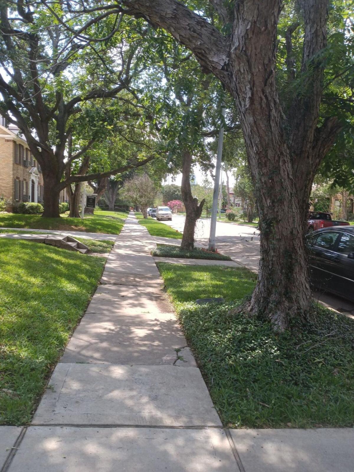 Apartment 3bd 2bath Spacious Downstairs Duplex Houston