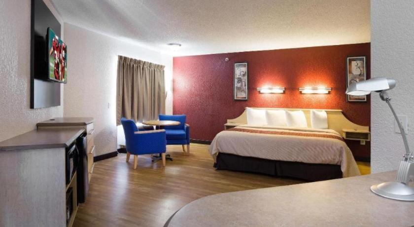 Hotel Red Roof - Westchase