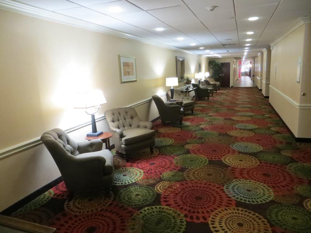 Wyndham Garden Willowbrook Hotel 3*