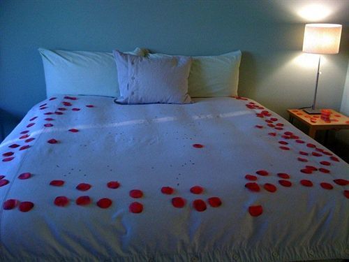 Modern Bed & Breakfast