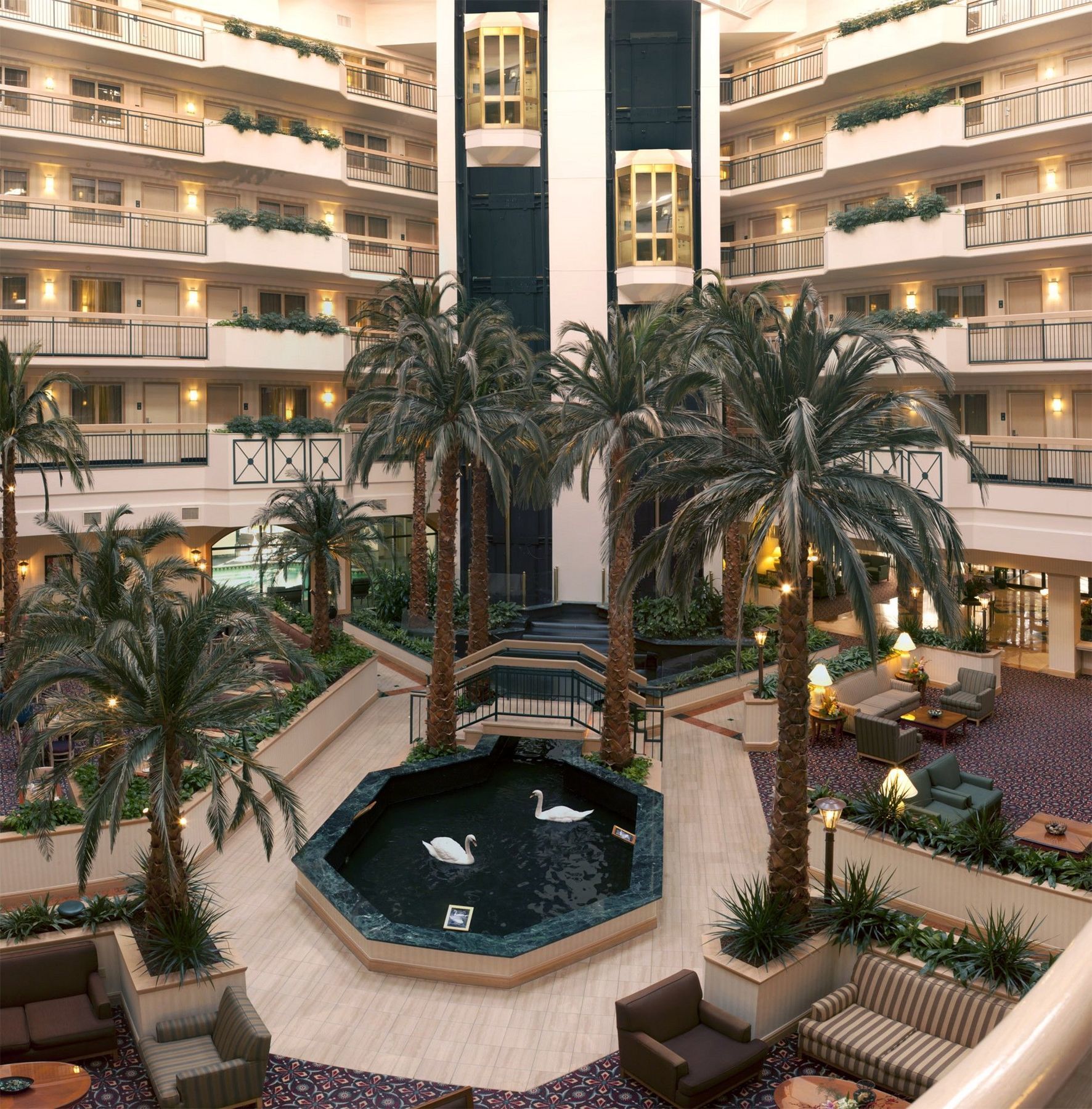 Embassy By Hilton Near The Galleria Houston