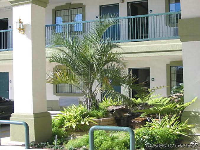 Motel Scottish And Nrg Park/texas Medical Center - 2*