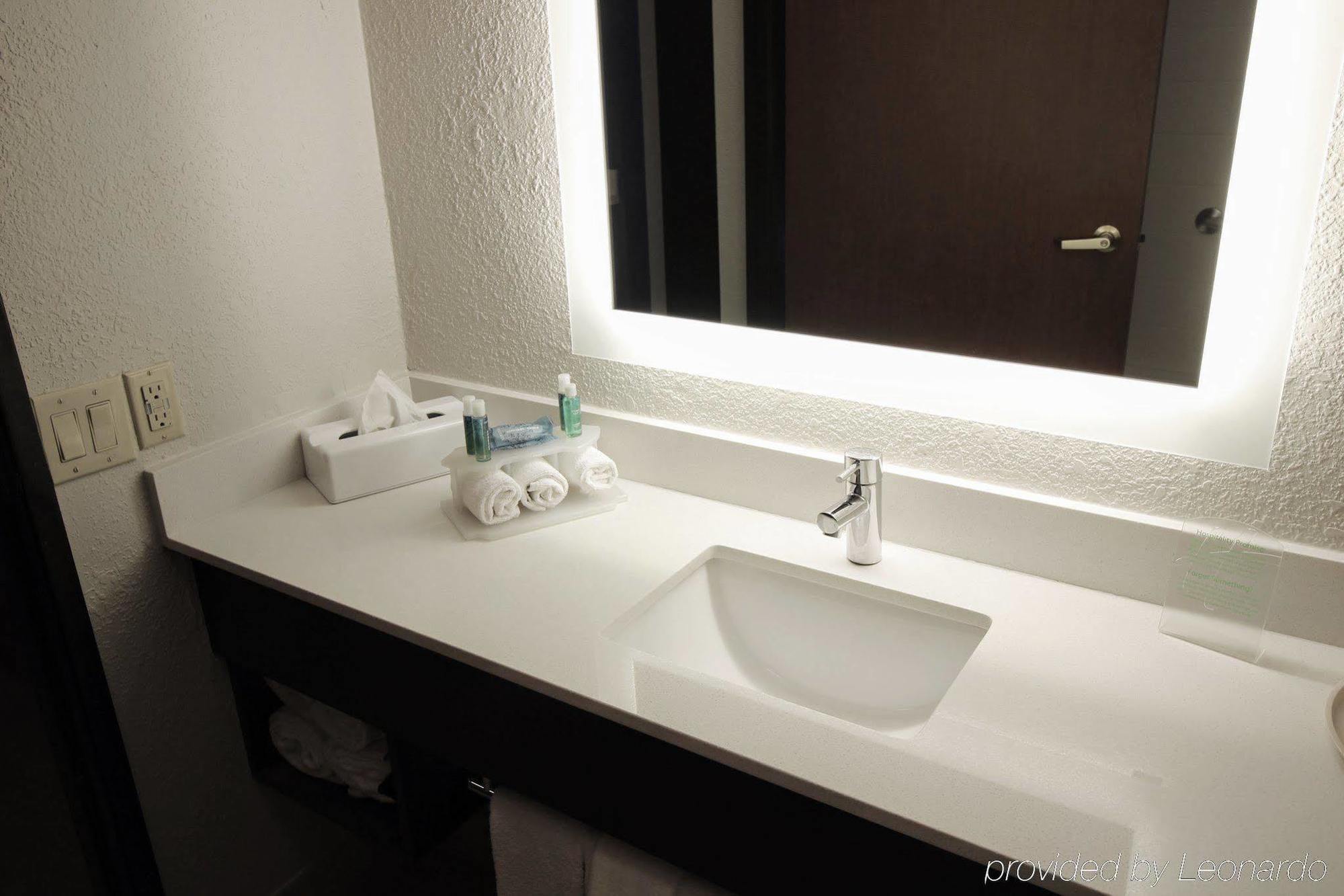 Hotel Holiday Express & - Memorial Park Area By Ihg Houston