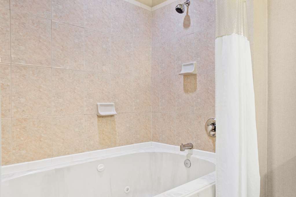 Wingate By Wyndham / Willowbrook 3* Houston