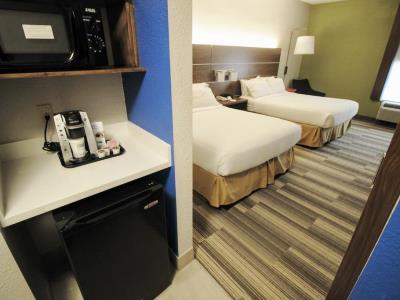 Holiday Express & - Memorial Park Area By Ihg 3* Houston