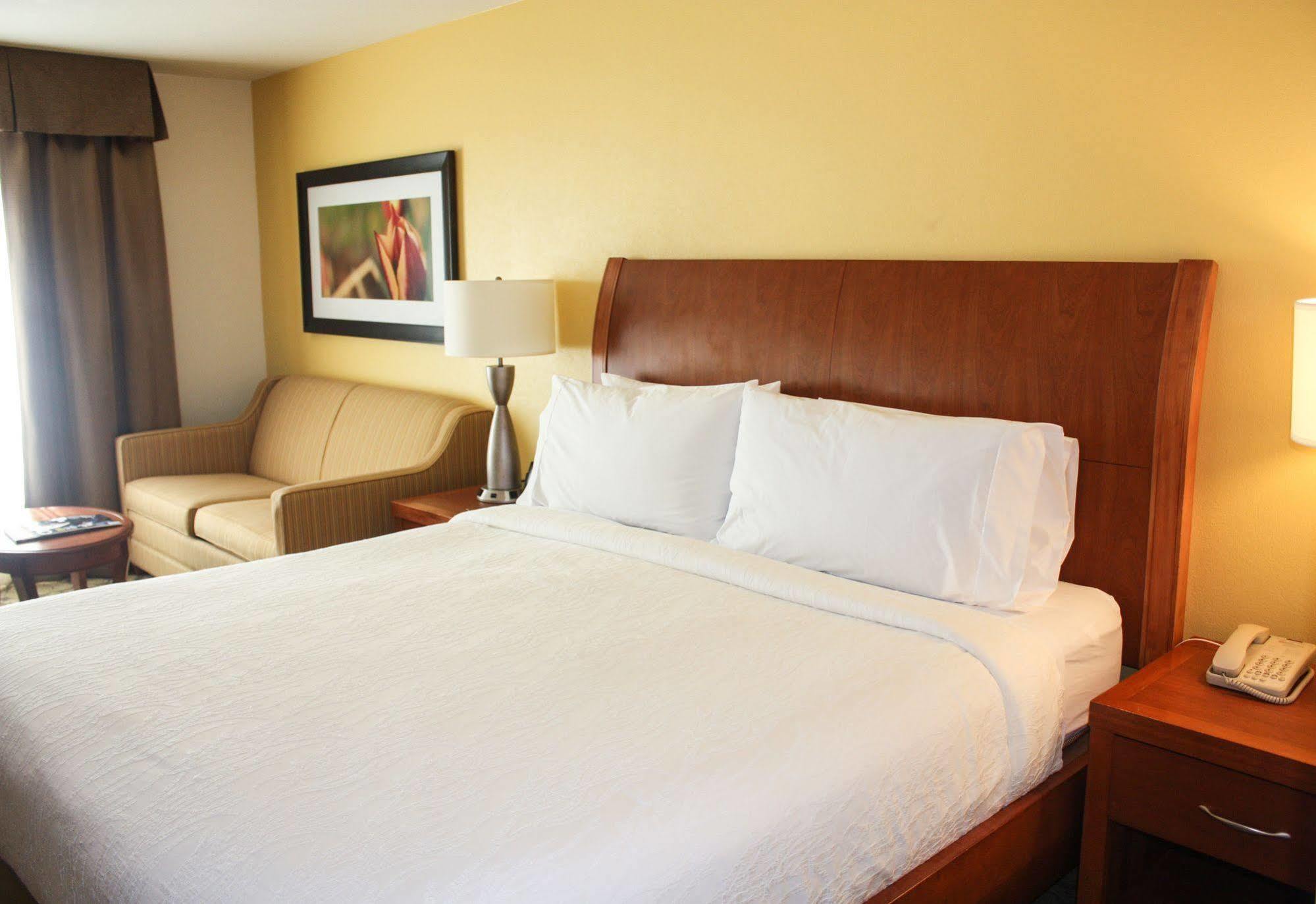 Hilton Garden Houston/galleria Area Houston