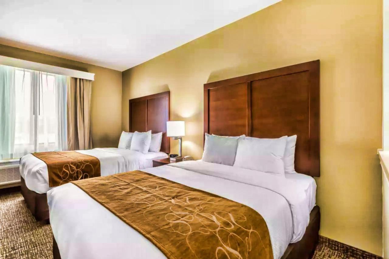 Comfort I45 North Hotel