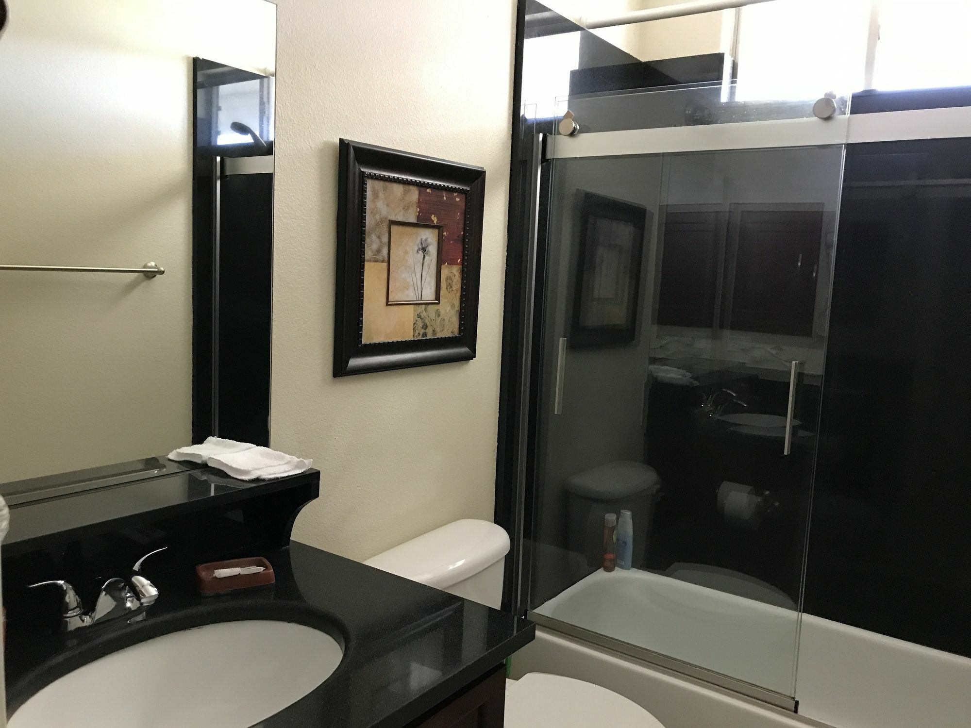 Corporate 2 Bedroom Furnished Houston
