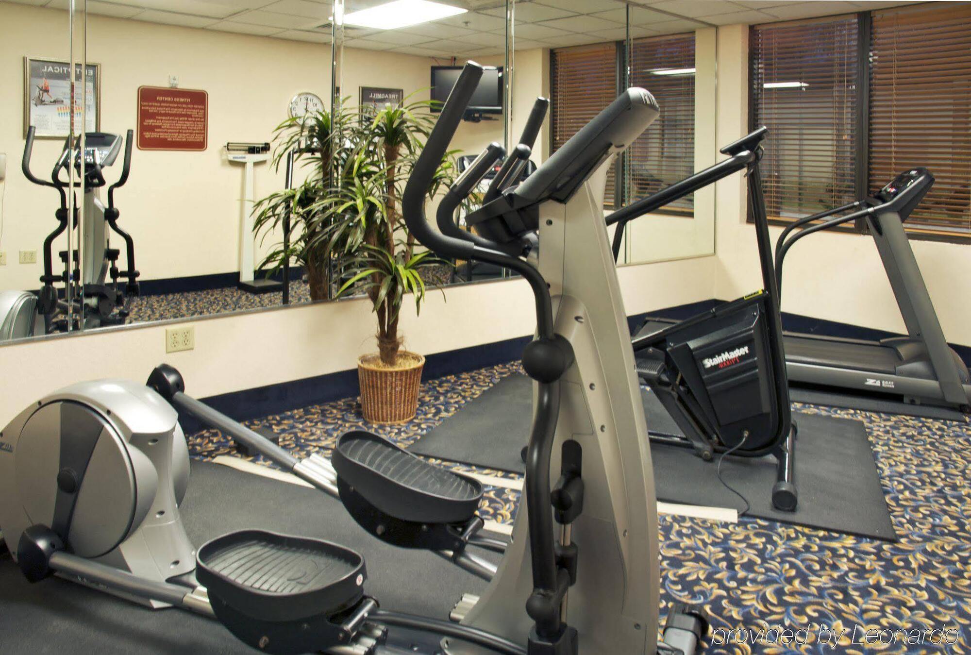 Hotel Holiday Express & - Memorial Park Area By Ihg