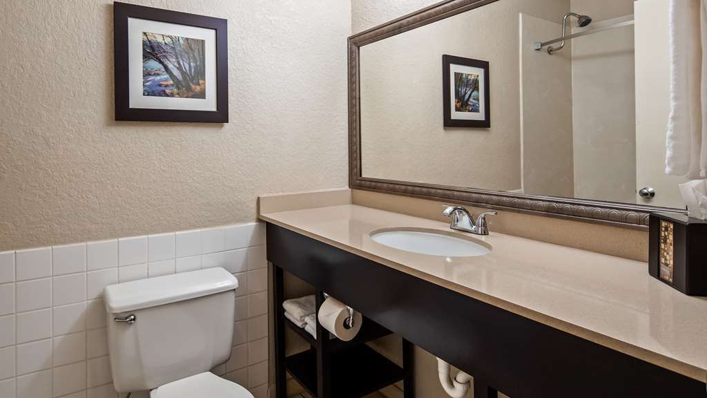 Hotel Baymont By Wyndham Houston/westchase