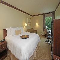 Hotel Hampton Near The Galleria Houston