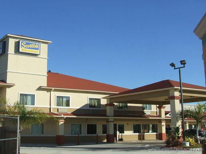 Palace Tx-249 2*
