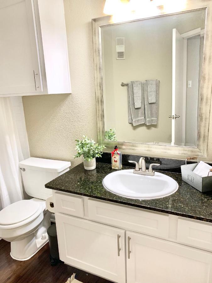 Spacious 2br&2ba Med Center Apt, Free Parking&shuttle Houston