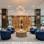 The Diamond Lux Apt Near Nrg & Tx Med Center W Pool