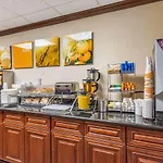 Comfort Suites - Near The Galleria