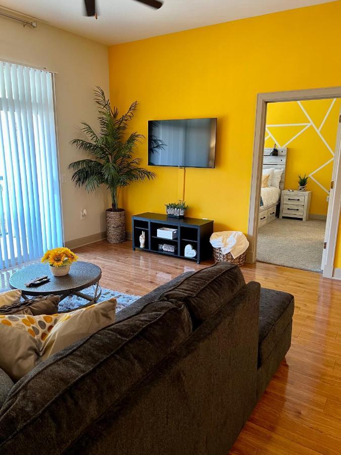 Apartment Texas Medical Center & Nrg Stadium *
