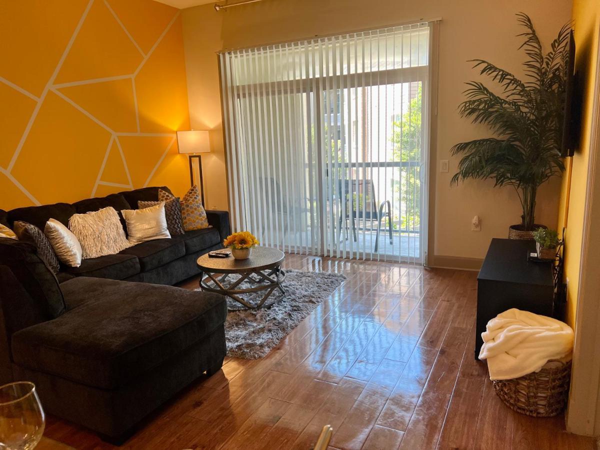 Texas Medical Center & Nrg Stadium Apartment