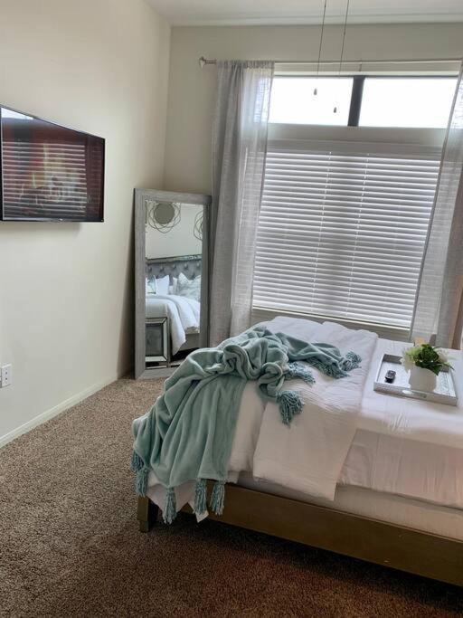Apartment Luxe And Cozy Apt Walk To Nrg In Tx Medical Center *