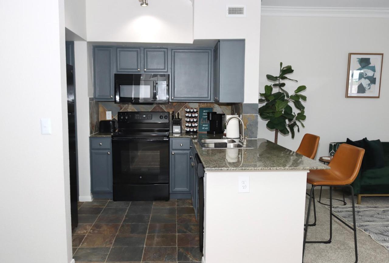 Apartment Lovely Texas Medical Center 1 Bedroom Luxury
