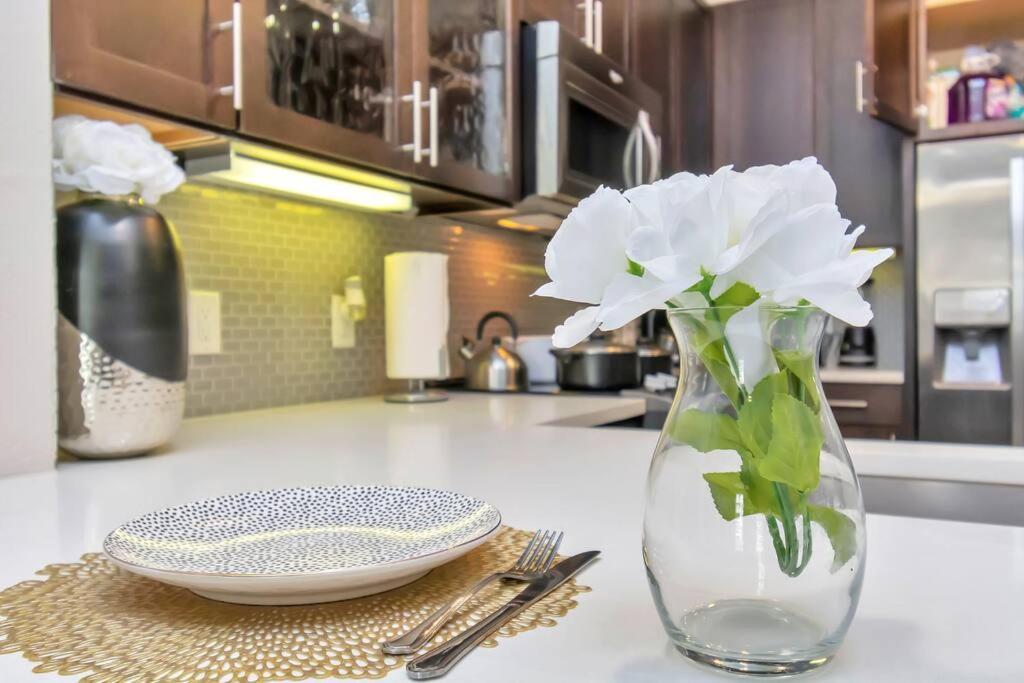 Penthouse Cool-oasis-in-houston-rental Car Available-view-great-sleep Apartment Houston