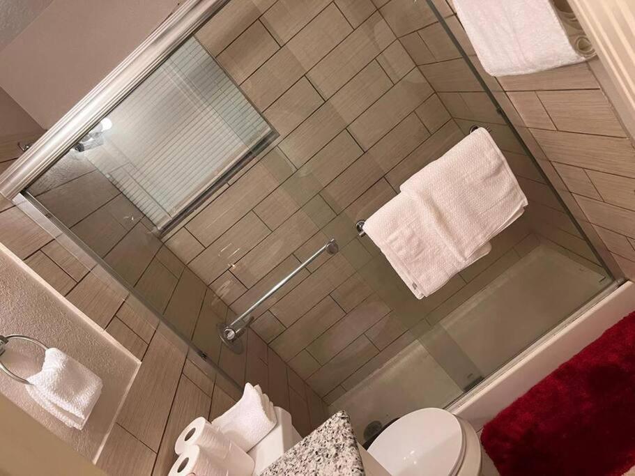 Apartment Luxury 2 Bedroom Near Tmc, Downtown, Museum District, Galleria, Medical Center Houston