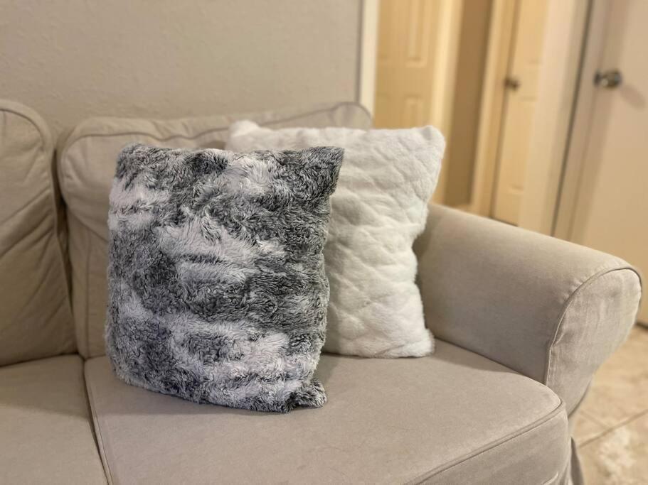 Luxury 2 Bedroom Near Tmc, Downtown, Museum District, Galleria, Medical Center Apartment