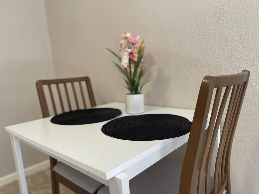 Luxury 2 Bedroom Near Tmc, Downtown, Museum District, Galleria, Medical Center Apartment Houston