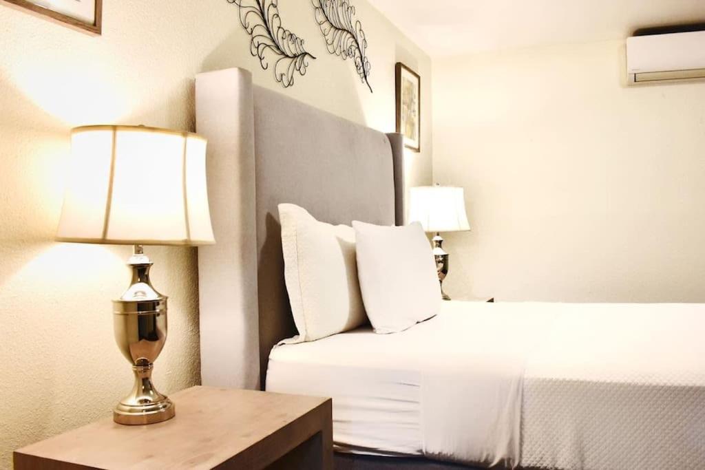 Montrose Pied-a-terre Walking Distance To Museums Apartment