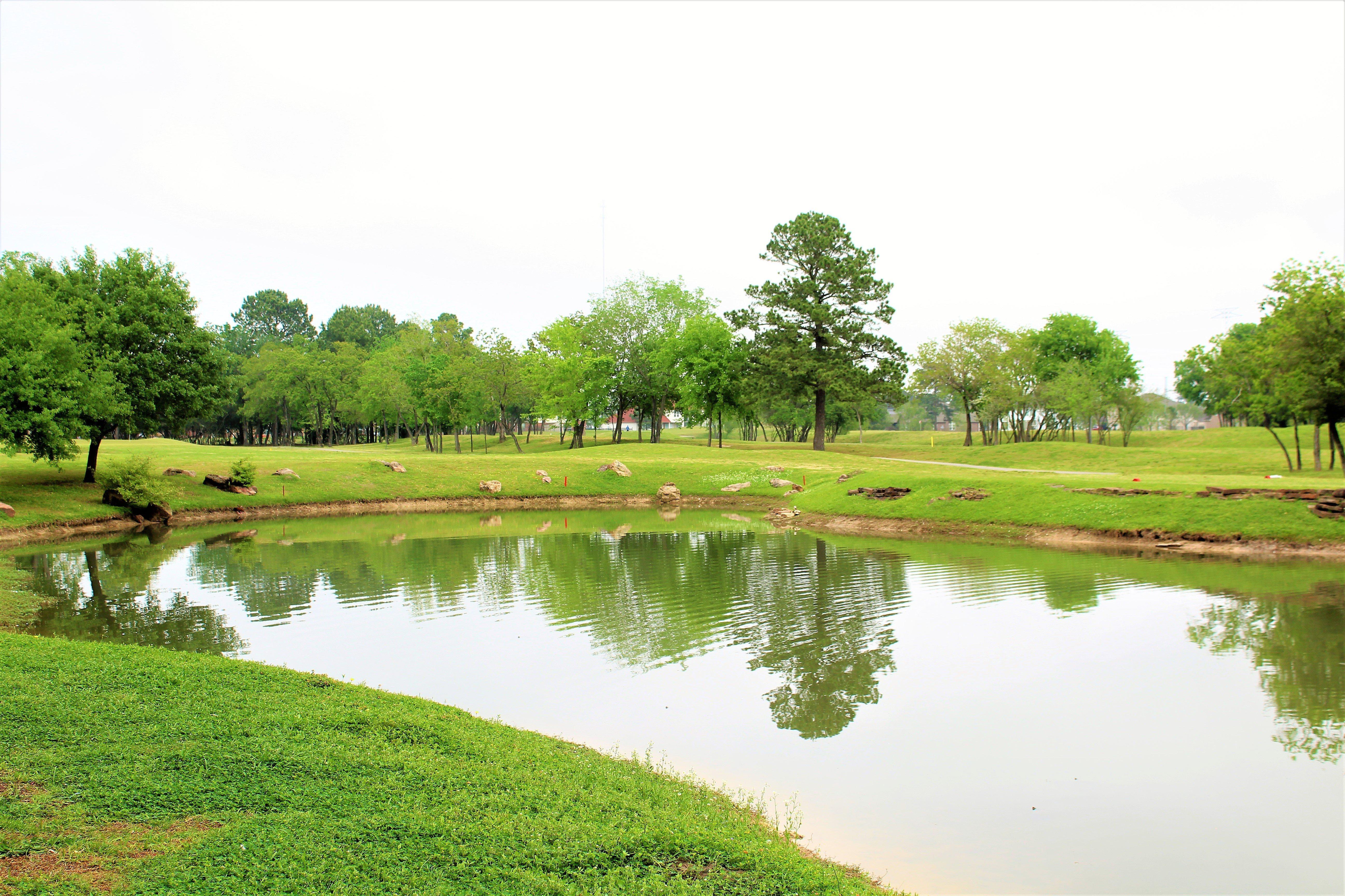 Hotel Staybridge - Willowbrook By Ihg Houston