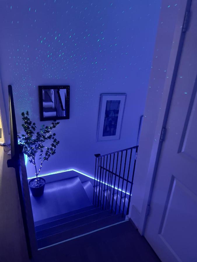 Moose Manor Guest - *