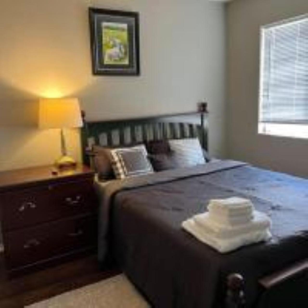 Lovely 2 Bedroom With 2 Baths &modern Amenities Apartment Houston