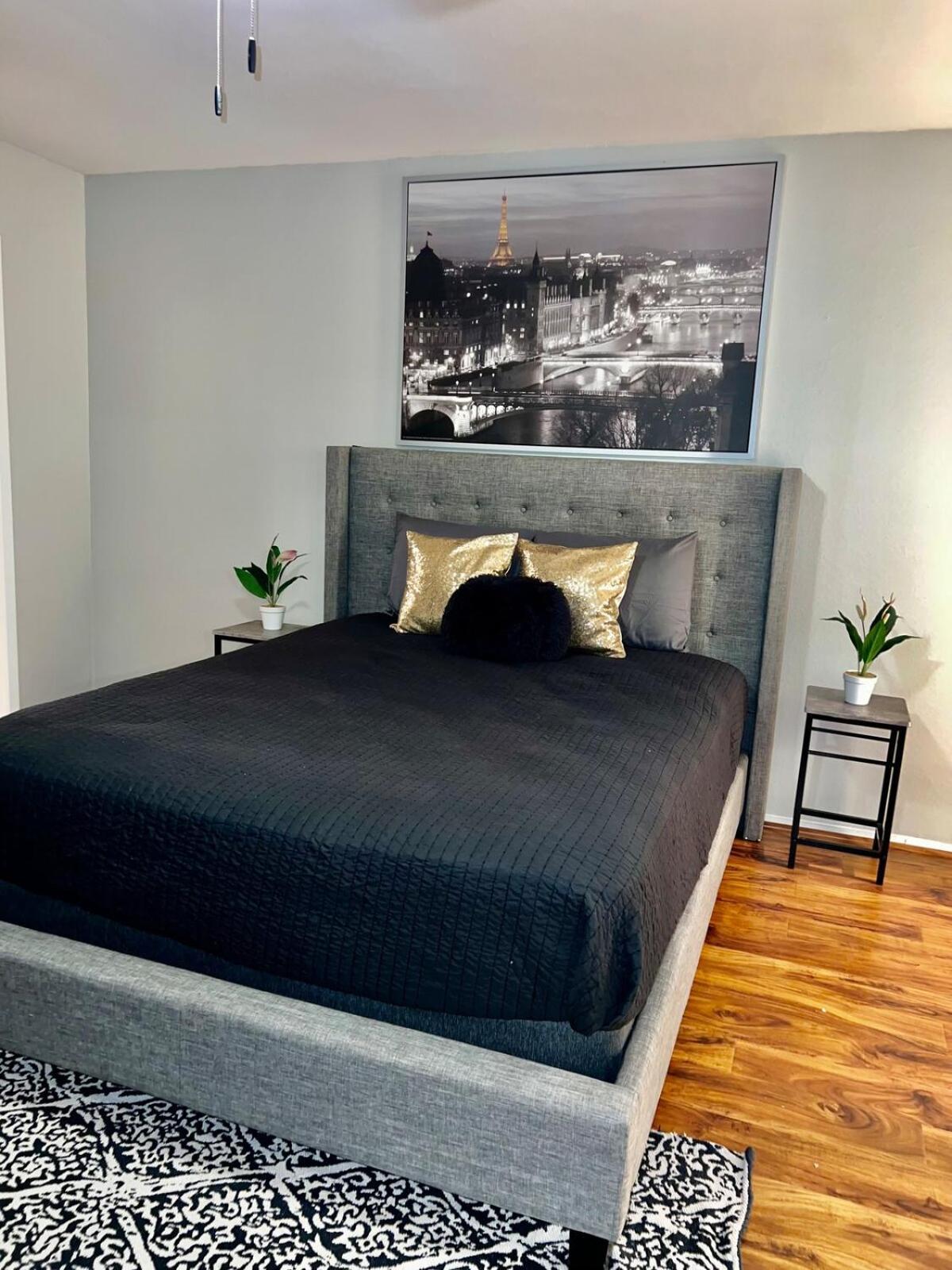 Cozy Chic Apartment