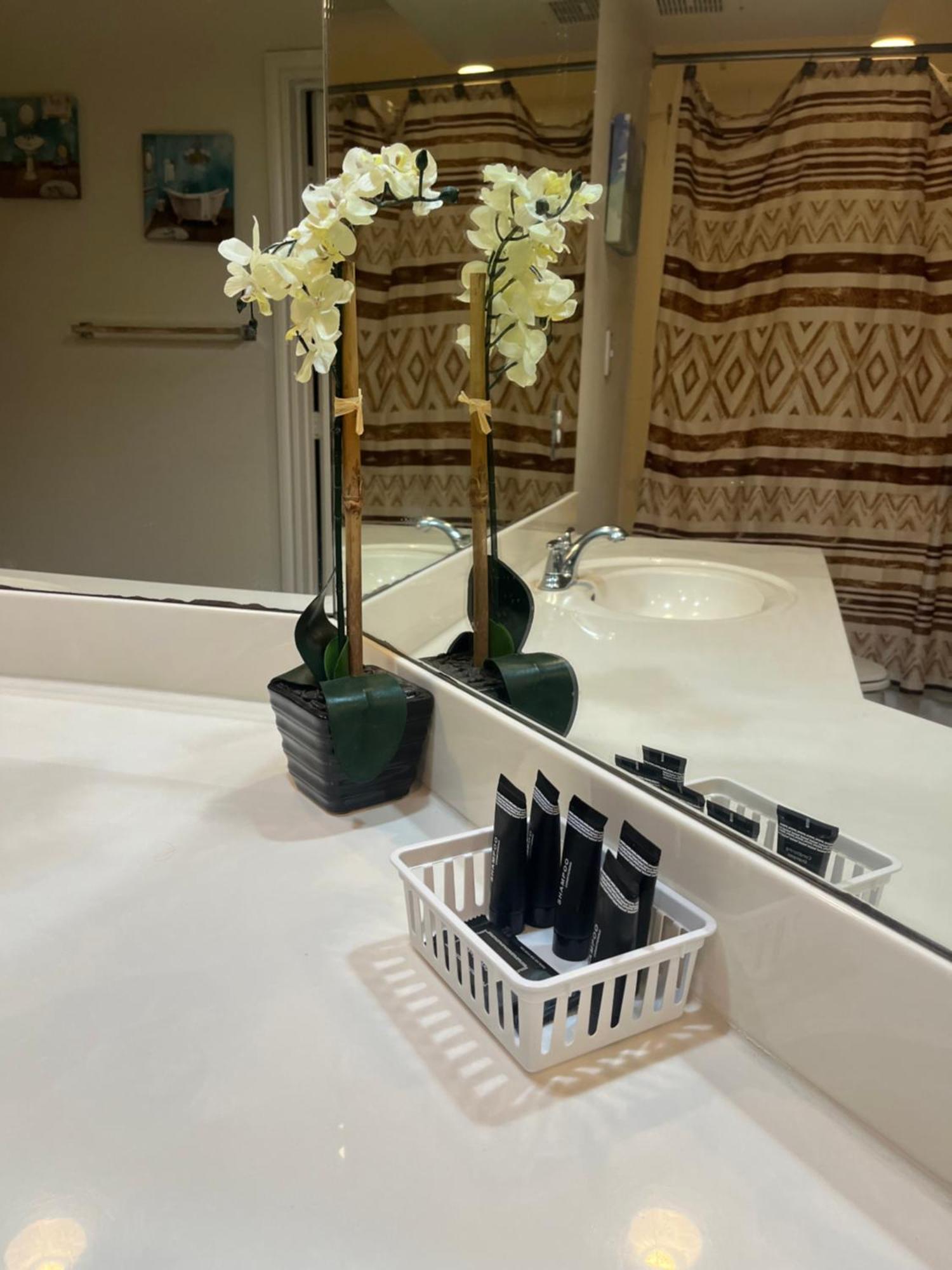 Apartment Luxury Fully Furnished By Nasa And Kemah Boardwalk Houston