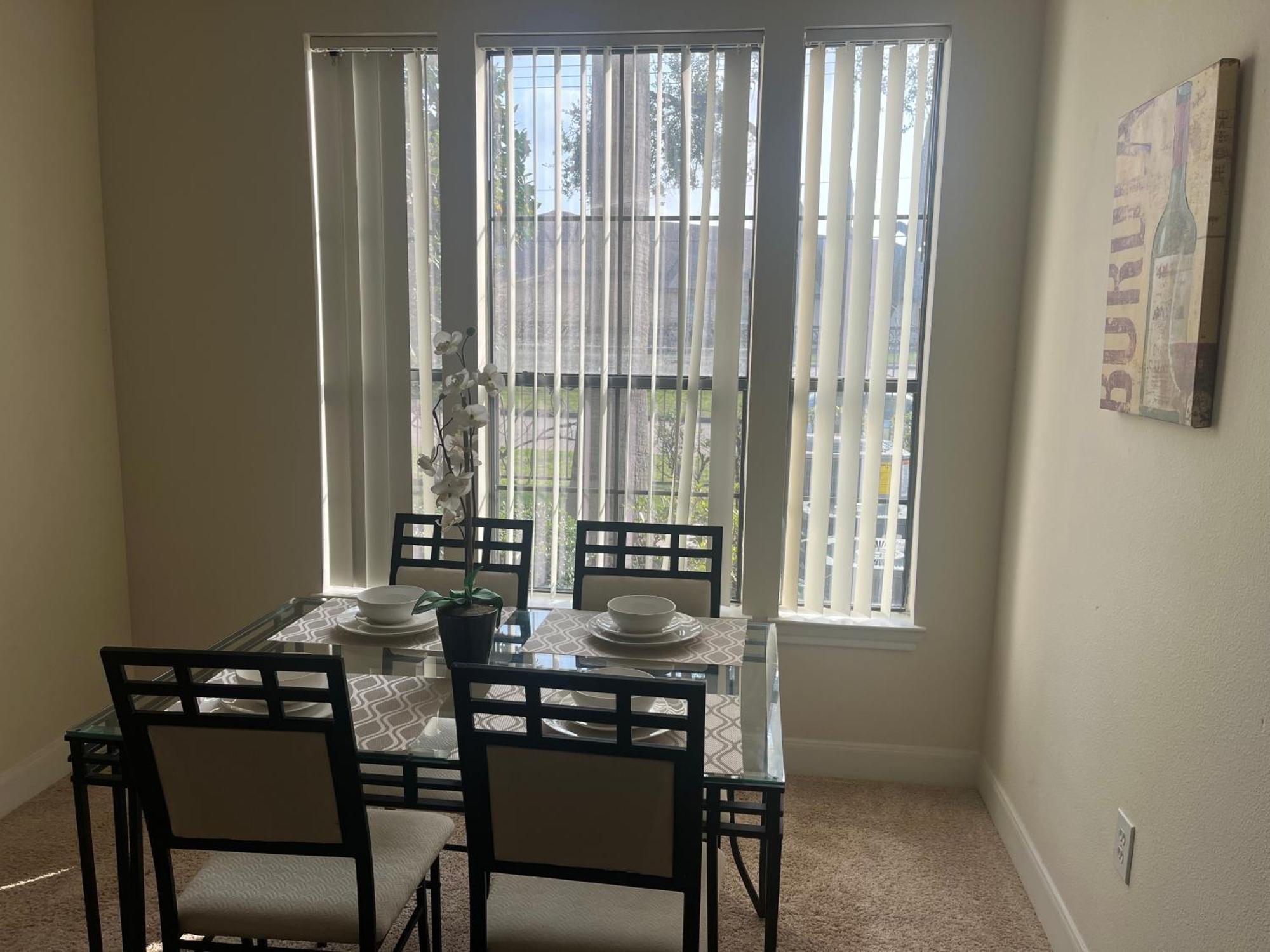 Apartment Luxury Fully Furnished By Nasa And Kemah Boardwalk