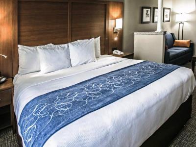 Comfort Nw - Vintage Park 3* Houston